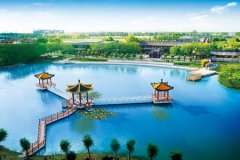 养老社区类型与发展趋势