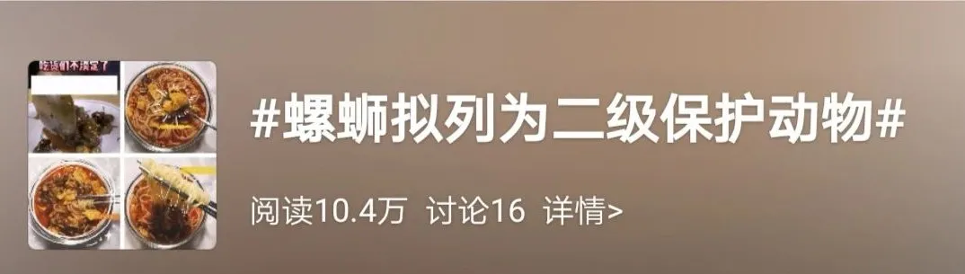 为什么螺蛳粉如此具有ip能量？