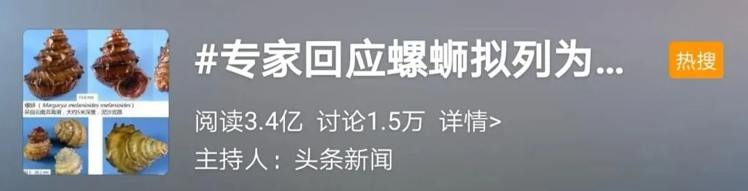 为什么螺蛳粉如此具有ip能量？